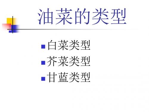 油菜的类型