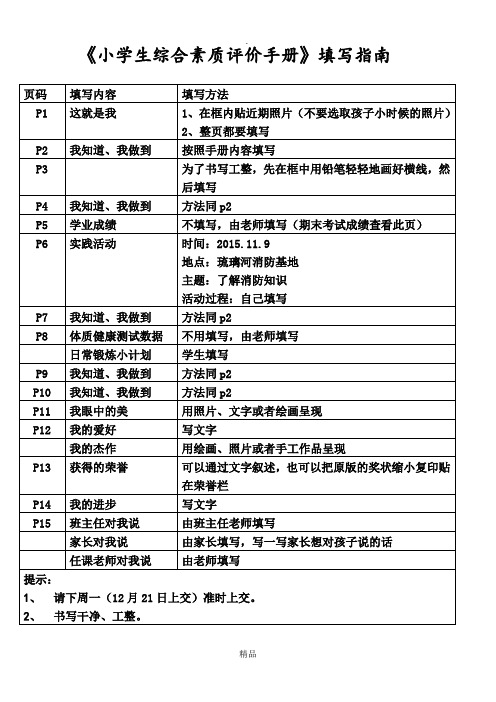 小学生综合素质评价手册