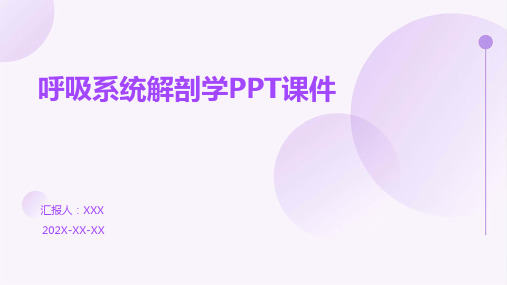 呼吸系统解剖学ppt课件