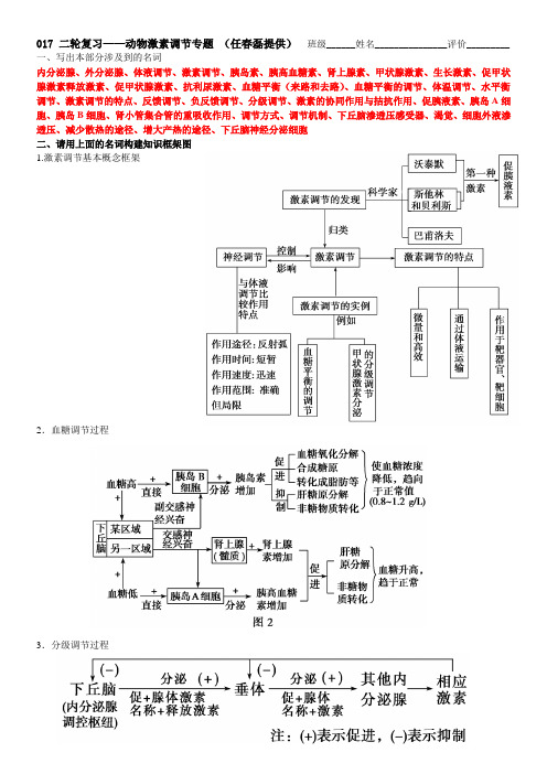 动物激素调节——概念+辨析