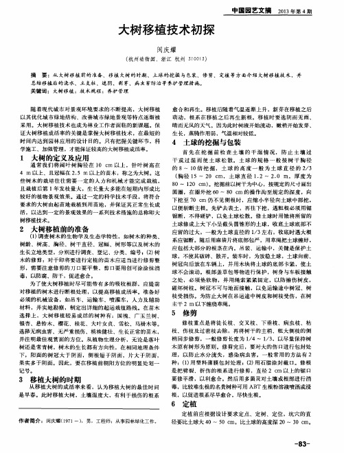 大树移植技术初探