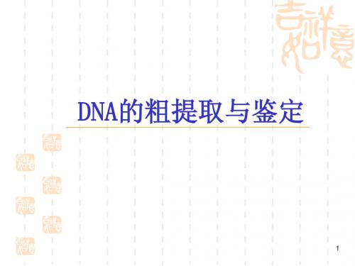 DNA的粗提取和鉴定