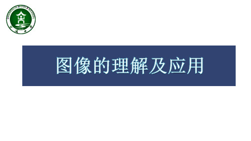 高中物理图像的理解和应用优秀课件