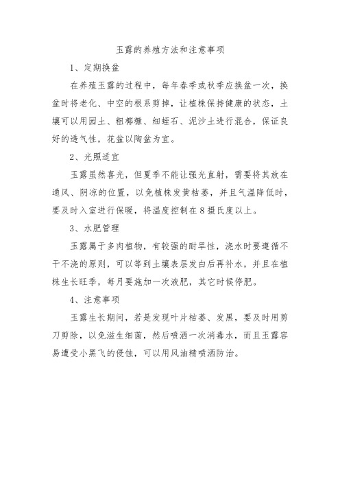 玉露的养殖方法和注意事项