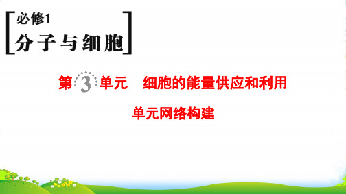 版高考生物一轮复习人教全国版课件:必修1 第3单元 单元网络构建