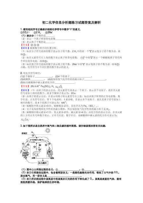 初二化学信息分析题练习试题集
