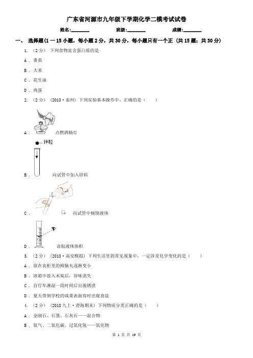 广东省河源市九年级下学期化学二模考试试卷