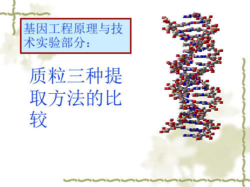 质粒三种提取方法的比较(精)