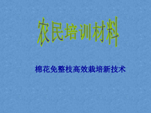 农民技术培训——棉花免整枝高效栽培新技术课件