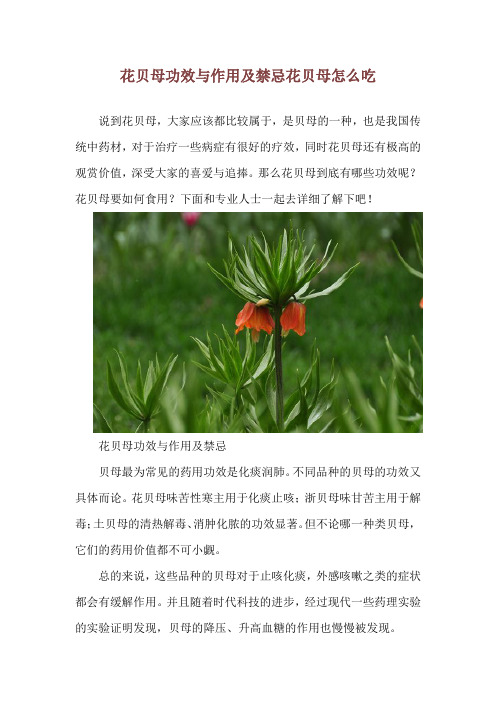 花贝母功效与作用及禁忌 花贝母怎么吃