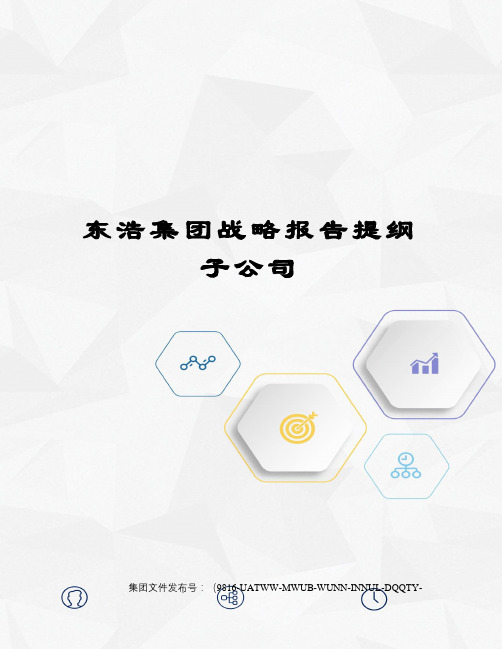 东浩集团战略报告提纲子公司