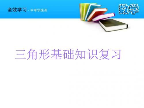 三角形的重点知识-精选文档