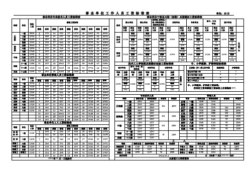 事业单位工作人员工资标准表单位元月