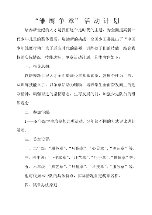 雏鹰争章活动计划