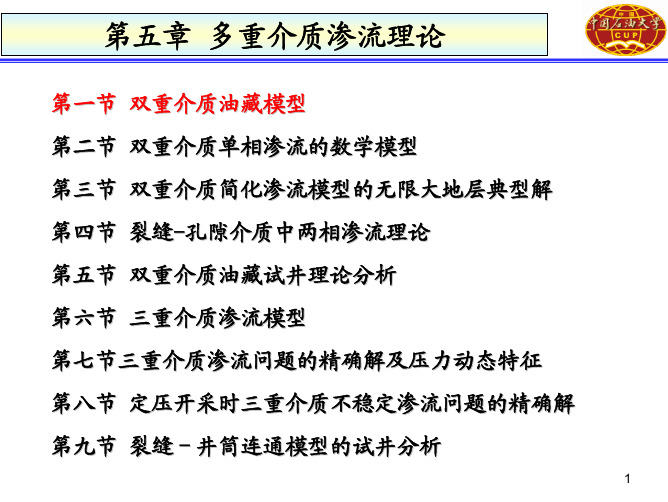 高等渗流第五章 多重介质渗流