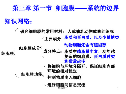 高一生物必修一第三章复习课件