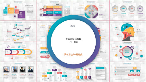 商务图表合集  (28)