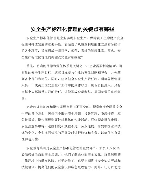 安全生产标准化管理的关键点有哪些