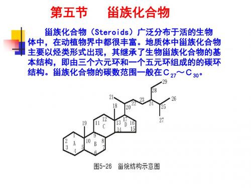 地球化学-第四章生物标志物3