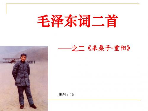 《采桑子.重阳》