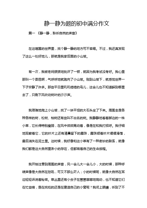 静一静为题的初中满分作文