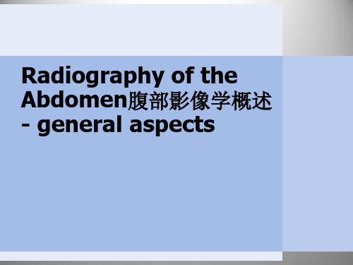 腹部影象学概述  PPT课件