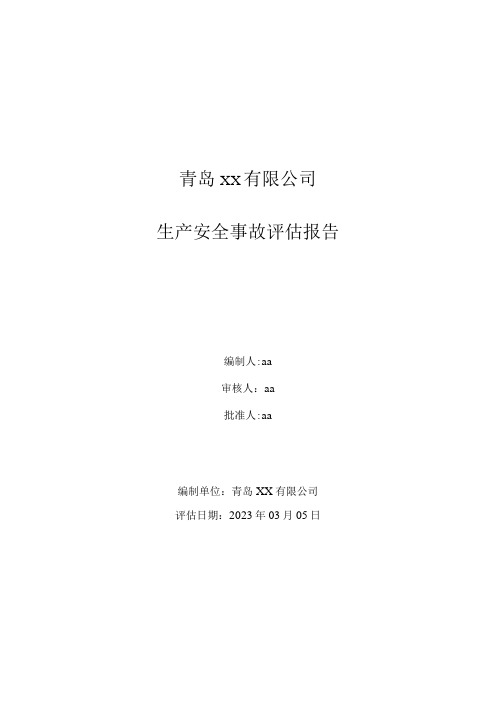 事故风险评估报告