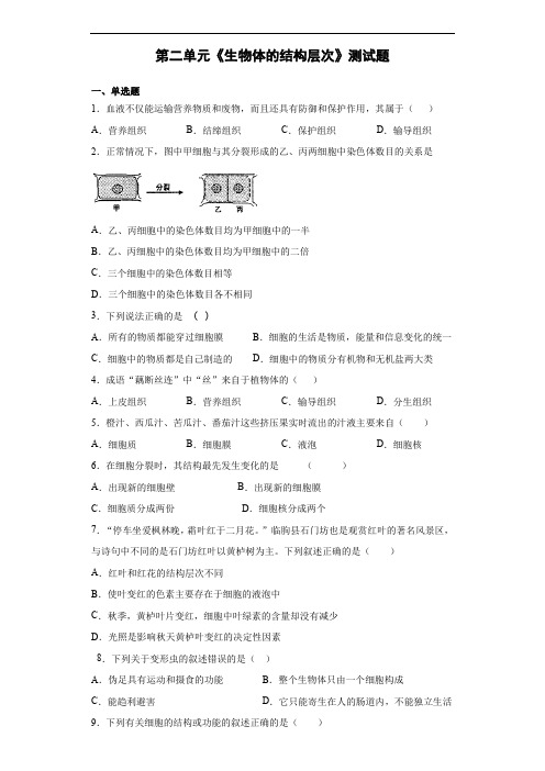 人教版生物七年级上第二单元《生物体的结构层次》测试题(含答案)