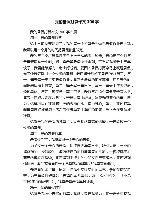 我的暑假打算作文300字3篇