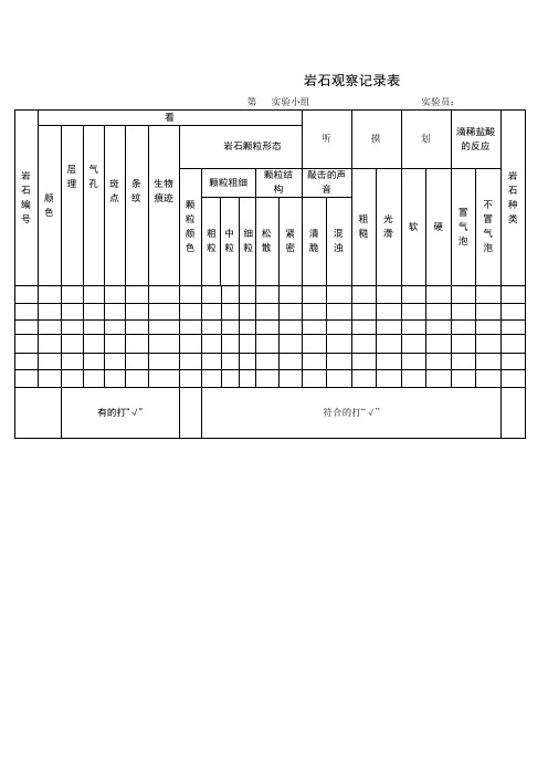 岩石观察记录表