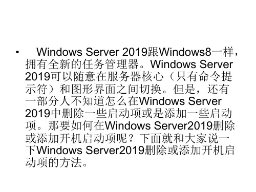 WindowsServer删除或添加开机启动项的方法共20页文档