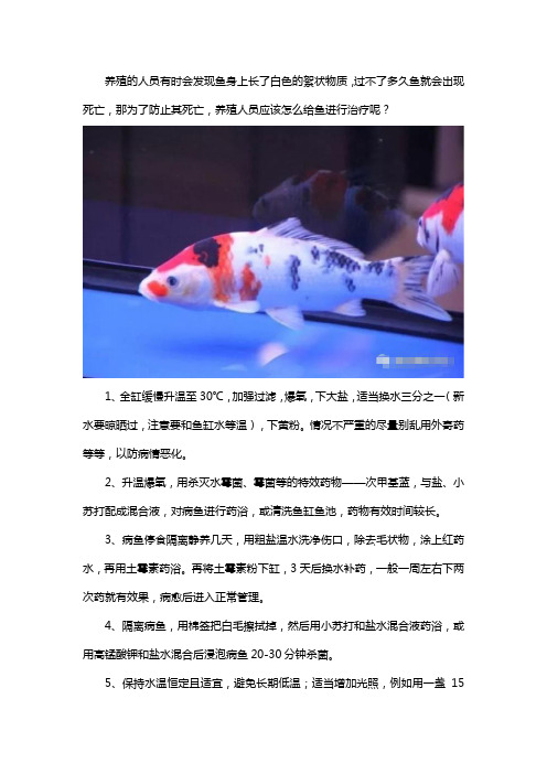 鱼身上长白色絮状物怎么治