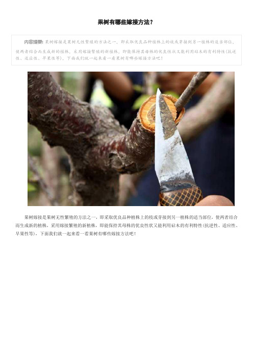 果树有哪些嫁接方法