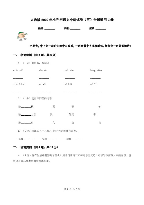 人教版2020年小升初语文冲刺试卷(五)全国通用C卷