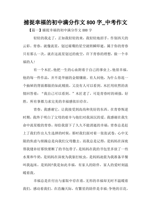 捕捉幸福的初中满分作文800字_中考作文