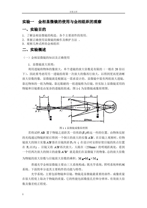 实验一金相显微镜的使用与金相组织的观察