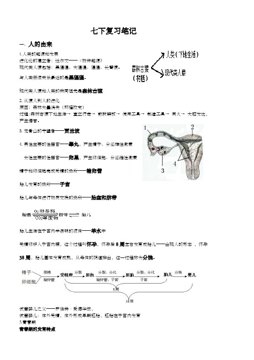 七年级下册生物期末复习笔记