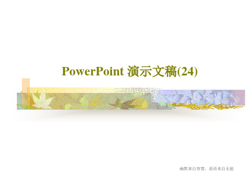 PowerPoint 演示文稿(24)共21页文档