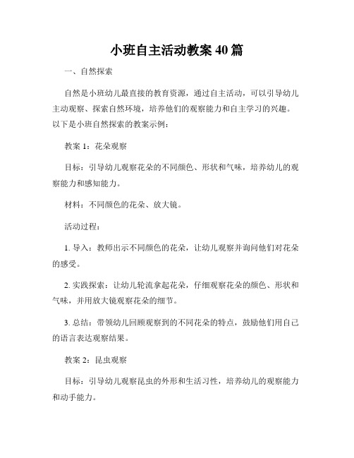 小班自主活动教案40篇