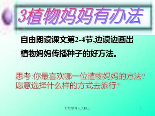 小学二年级语文上册 人教版(部编版) 植物妈妈有办法片段【教学课件PPT】