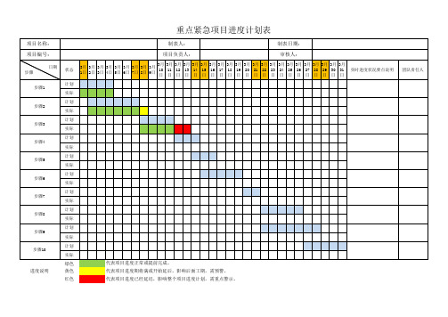 公司重点项目进度计划表模板