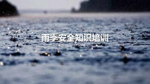 雨季安全防护知识培训