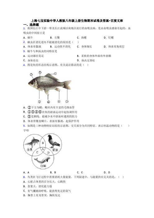 上海七宝实验中学人教版八年级上册生物期末试卷及答案-百度文库