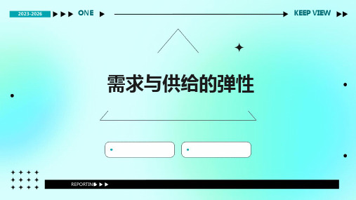 《需求与供给的弹性》课件