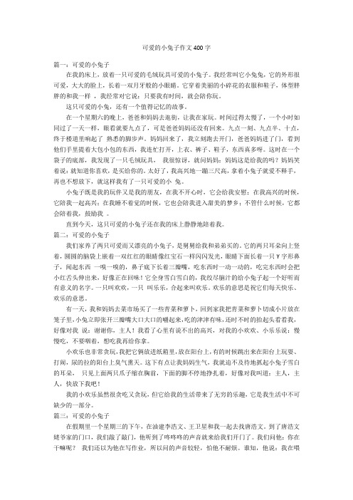 可爱的小兔子作文400字优秀作文