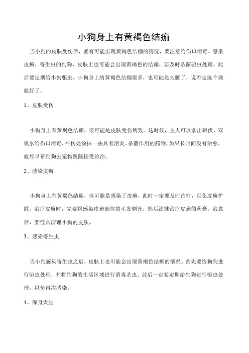 小狗身上有黄褐色结痂