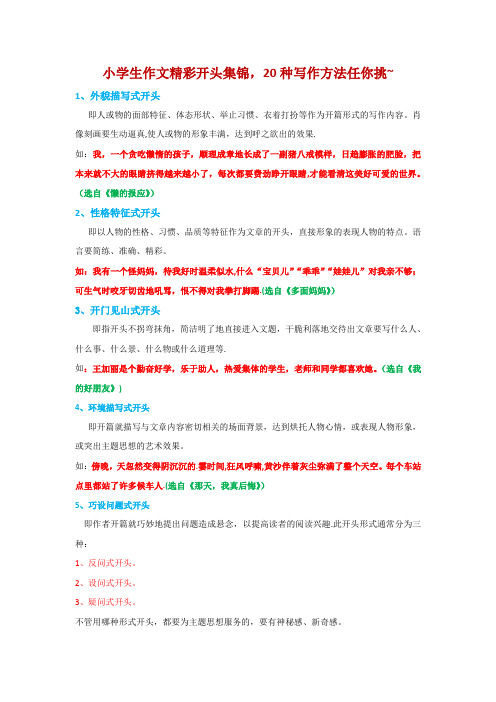 小学生作文精彩开头集锦