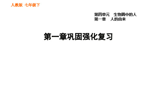 人教版七年级下册生物第一章人的由来巩固强化复习 课件