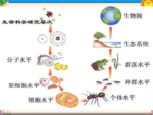 (浙科版)高中生物 7.1、2 生物圈、全球人口动态PPT课件 新人教版必修3