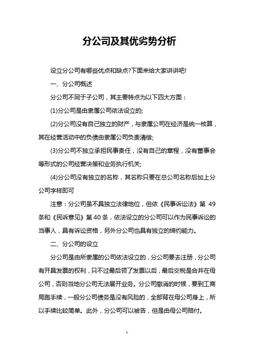 分公司及其优劣势分析